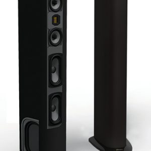 GoldenEar Triton Two+ Tower Speakers